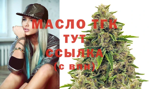 шишки Няндома