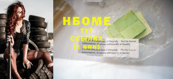 шишки Няндома