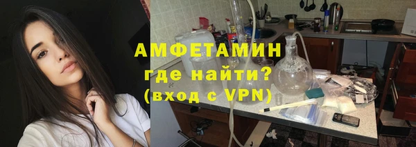 шишки Няндома