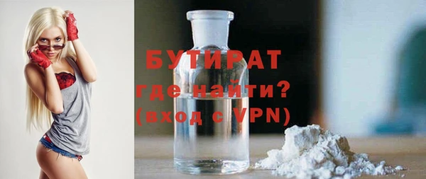 шишки Няндома