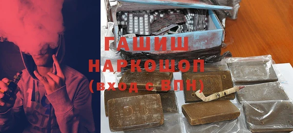 шишки Няндома