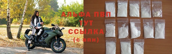 шишки Няндома