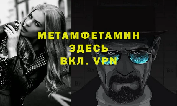шишки Няндома