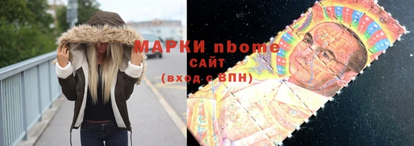 шишки Няндома